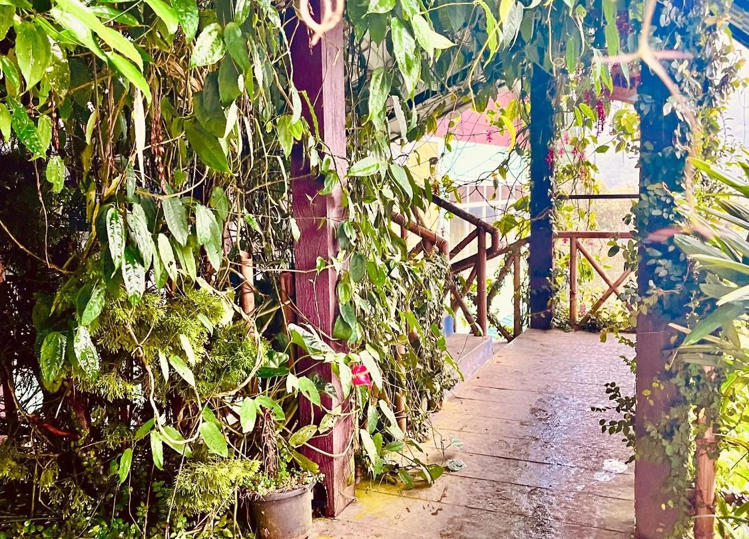 The Misty Resort By Four Season - A Hidden Resort M88827-10692 Munnar India