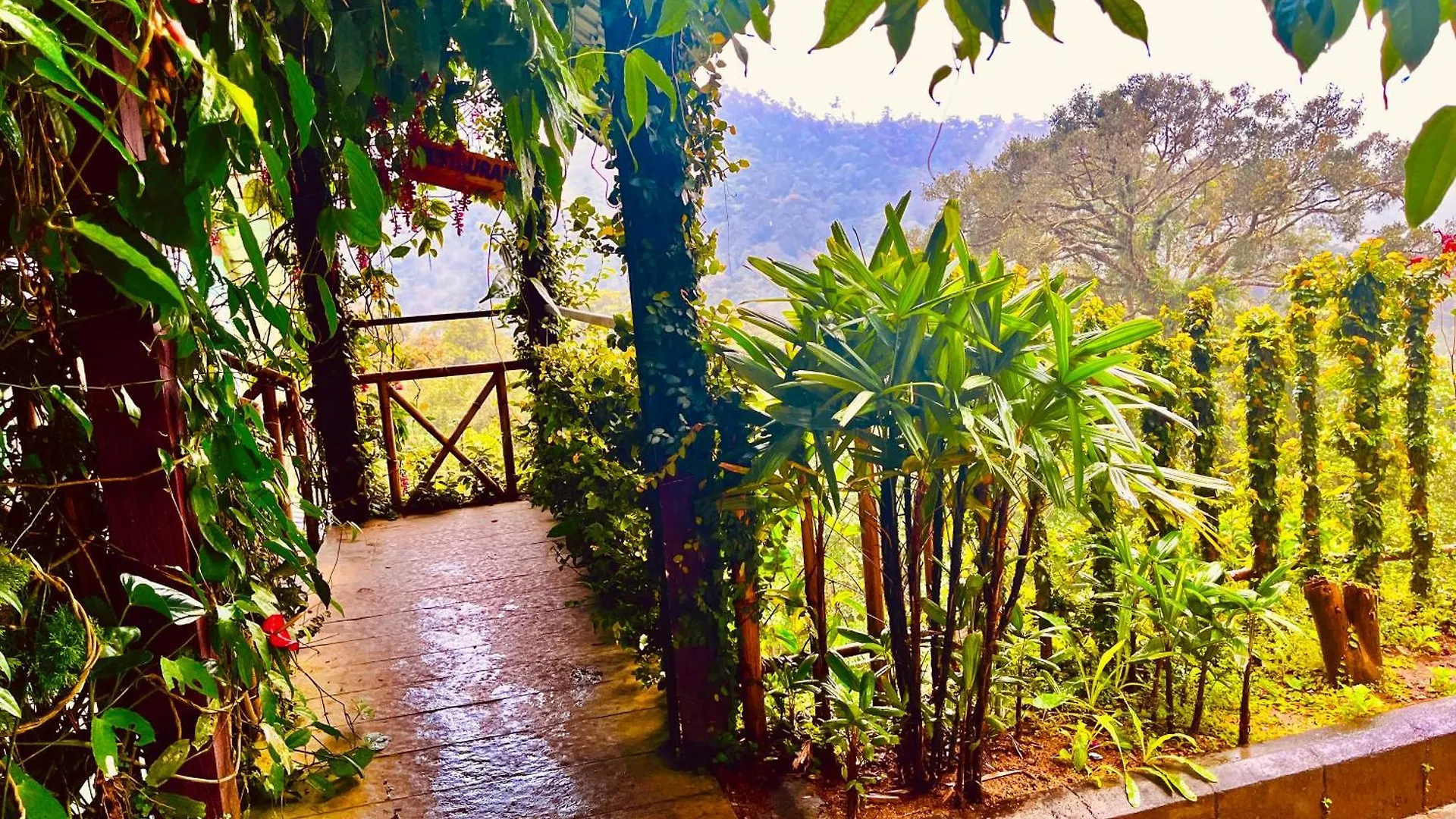 Hotel The Misty Resort By Four Season - A Hidden Resort M88827-10692 Munnar